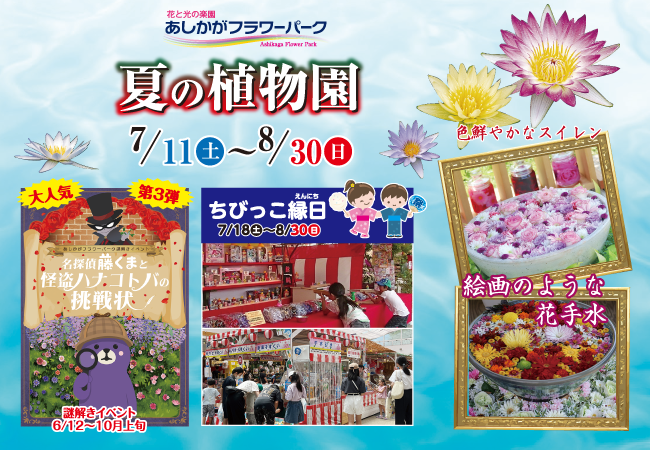 あしかがフラワーパーク