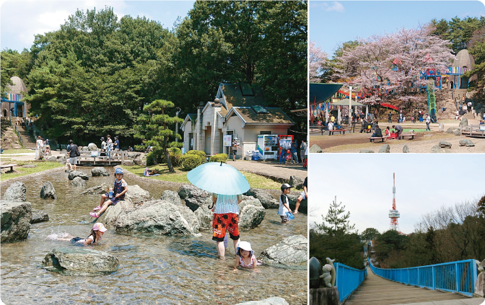 八幡山公園