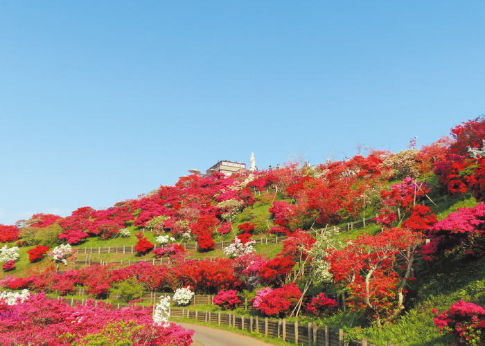 笠間つつじ公園